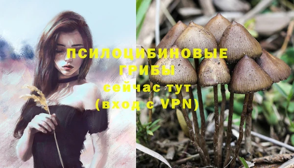 мяу мяу кристалл Медвежьегорск
