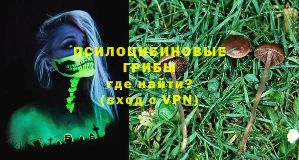 мдпв Медногорск