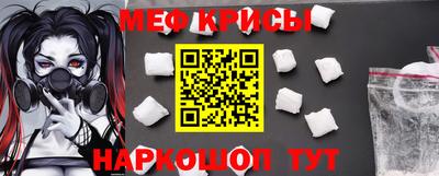 СК Гатчина