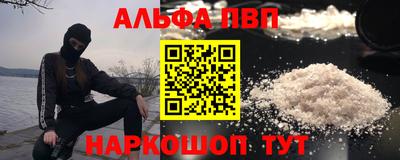 СК Гатчина