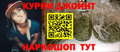 СК Гатчина