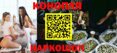 СК Гатчина