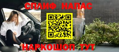 СК Гатчина
